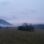 na vrchu lúky