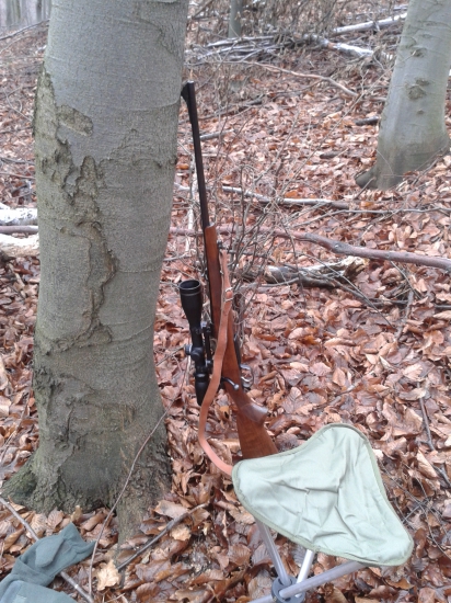 spoločná 22.11.2014