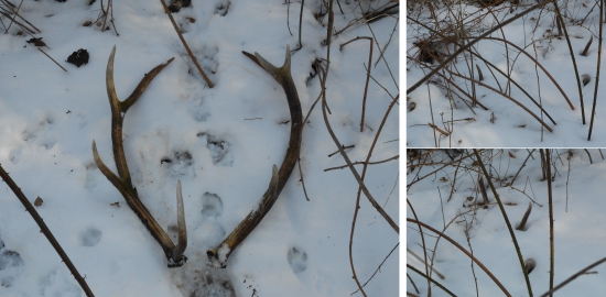 Naj. pocit keď vidím že tam ležia obidva