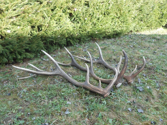 keď šťastie praje