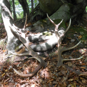 Po roku opäť spolu