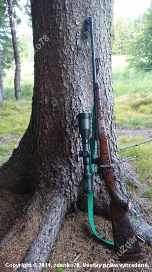 Mauser 98
