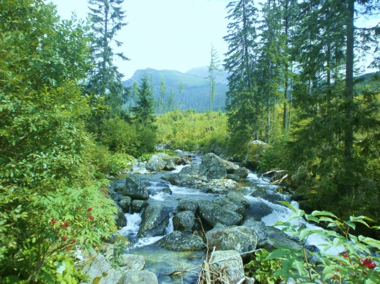 Tatranská bystrina.