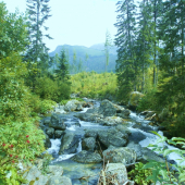 Tatranská bystrina.
