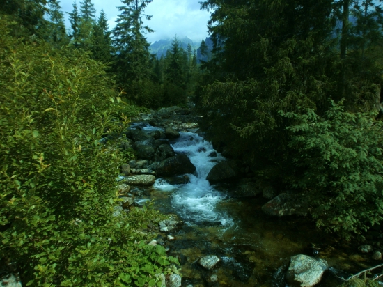 Bystrina pod Popradským plesom.