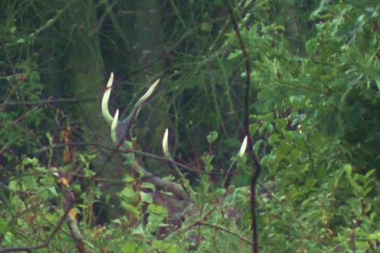 To je ale pohľad...