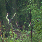 To je ale pohľad...