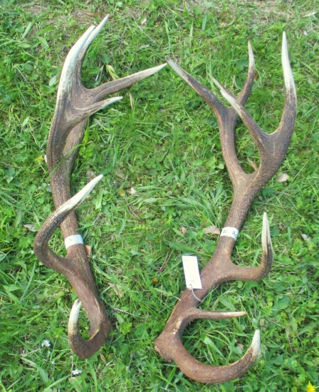 ChPZaT-Kyslinky-Zálomská.