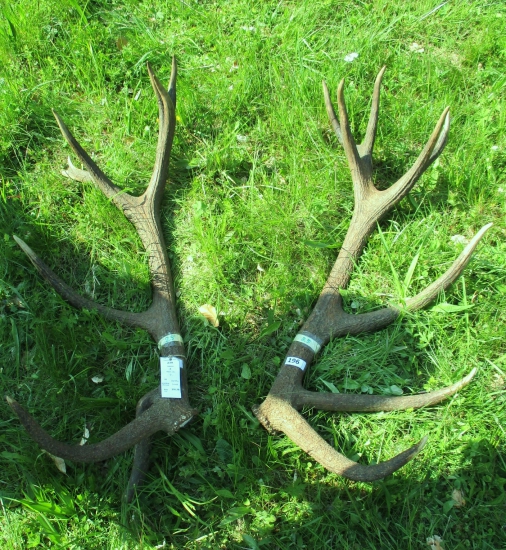 ChPZaT-Kyslinky-Zálomská.