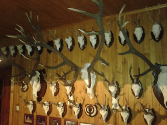 Moja poľovnícka izba