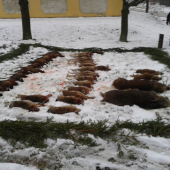 Spoločná v ČR