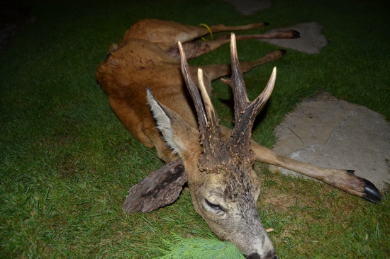 Na záver ruje. 142,70 bodov.