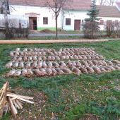 Spoločná na Morave.