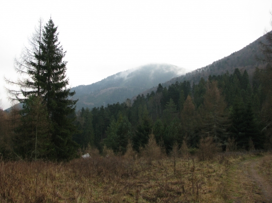 Branisko