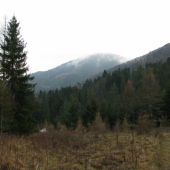Branisko