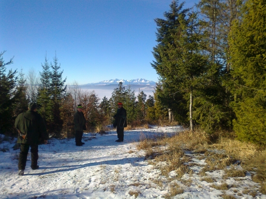 Pred začiatkom pohonu