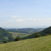 vršatec