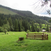 priroda