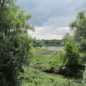 priroda