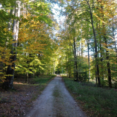 jesenná prechádzka