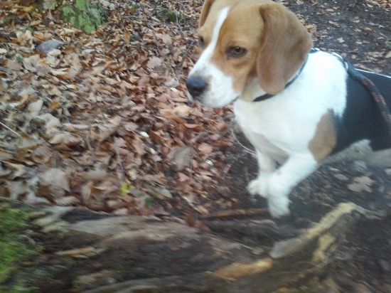 Vyskúšam aj ja byť polovne upotrebytelná!: )