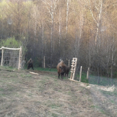 najazdnici v akcii