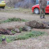 Spoločná poľovačka PZ Spišský Štvrtok
