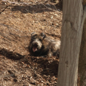 Pán diviak, poprosím jeden úsmev do objektívu :D