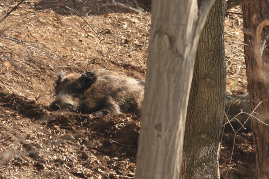 Pohoda na ležovisku