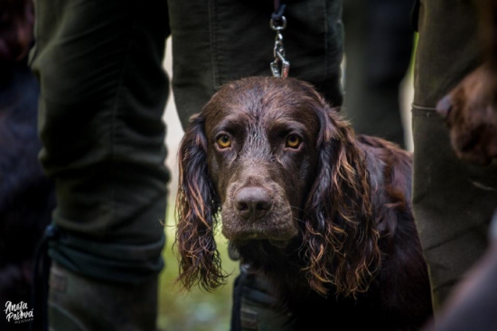 Momentka ze zkoušek