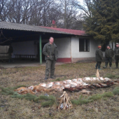 V predposledny den na drobnu