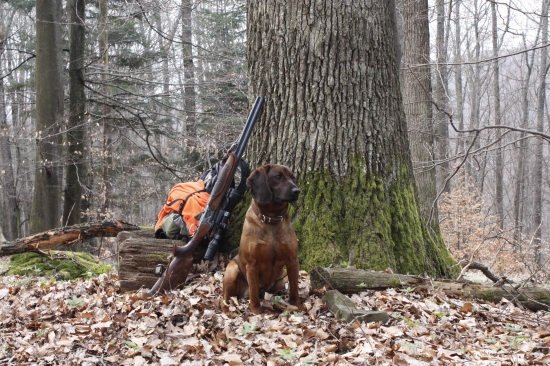 Fida spod Oravského hradu