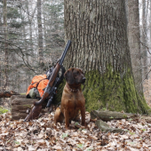 Fida spod Oravského hradu