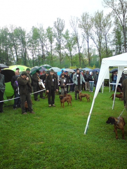 Fida spod Oravského hradu