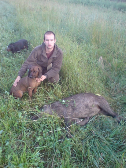 Fida spod Oravského hradu