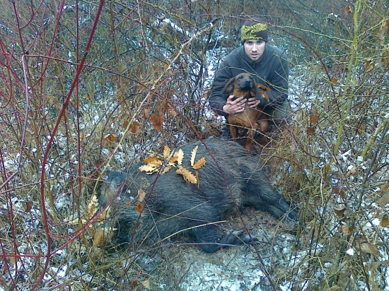 úspešná dohľadávka