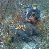 úspešná dohľadávka