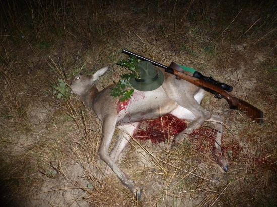 Septembrové jelienča