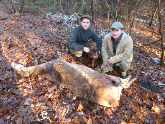 Konečne sa to podarilo, silvestrovské IHF