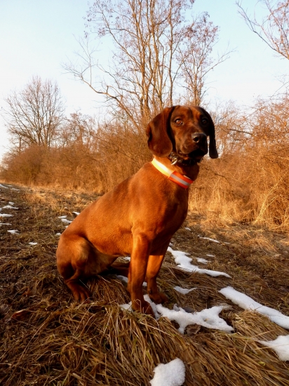 Fida spod Oravského hradu - čerstvo chovná