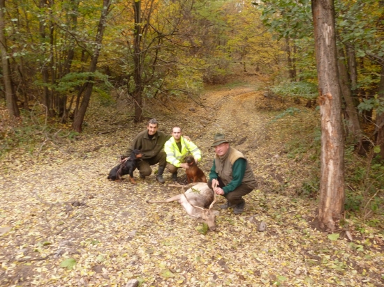 Dohľadávka...............