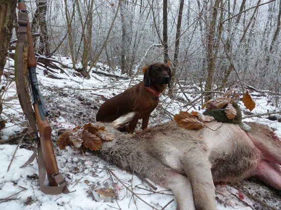 Aj tehotná to zvláda