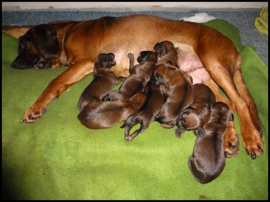 z Pánskej pažite, 3.deň