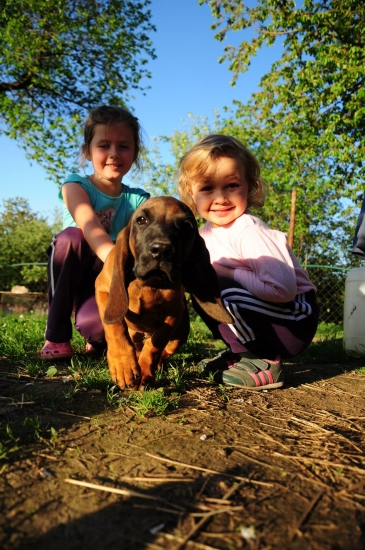 Ladies a Alan z Pánskej pažite