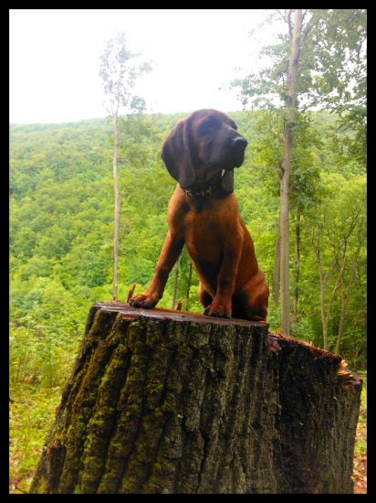 Alan z Pánskej pažite - mesiace