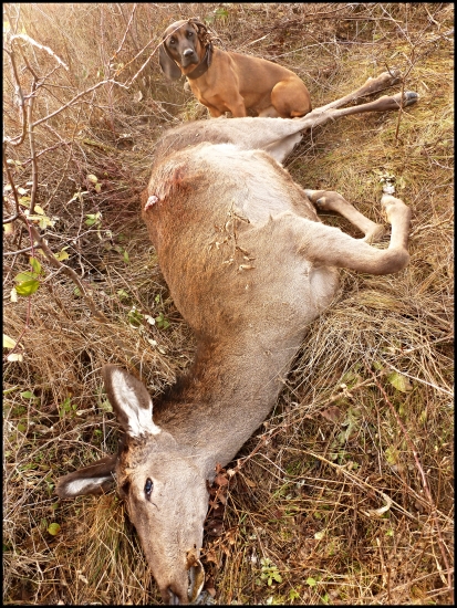 začiatky mladého muža