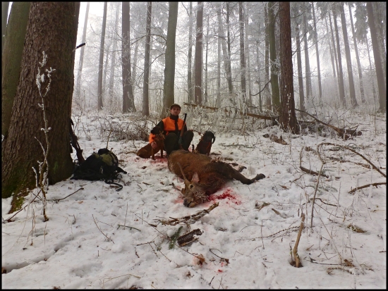 keď sa plnia sny ....