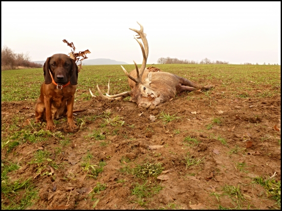 krásne zakončenie roku...