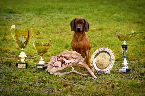 keď príde čas bilancovať....