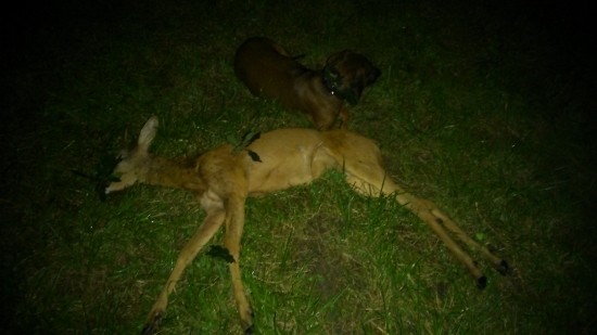 šesťsekundová záležitosť